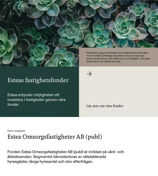 Estea - Landing design inspiration