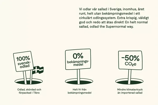 Supernormal Greens | Sallad med gott samvete från Ljusgårda - Landing design inspiration