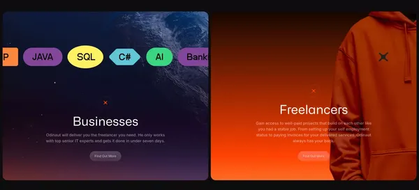 Top IT Freelancers for Businesses – Odinaut - Landing design inspiration