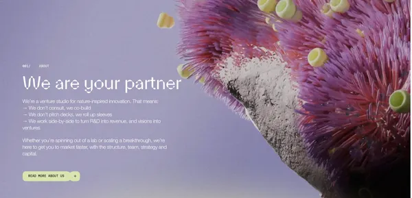 Anima - Growing nature-inspired ventures - Landing design inspiration