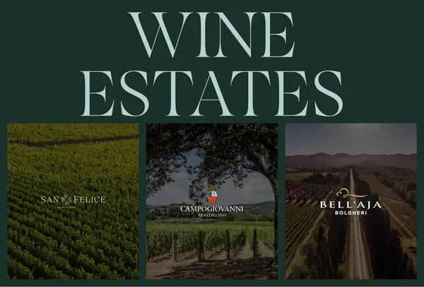 San Felice: the historic Tuscan vineyard, winery and 5* hotel | Borgo San Felice - Landing design inspiration