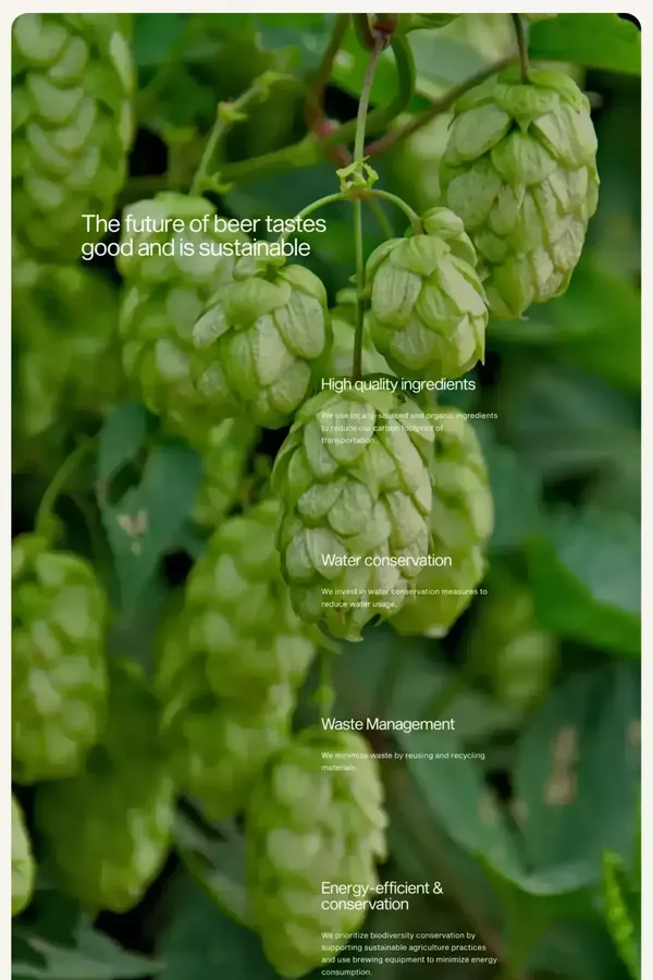Angle Brewery | High-Quality Brews for Beer Lovers - Landing design inspiration
