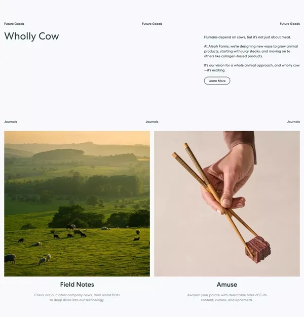 Sustainable, Cultivated Meat. Steak Done Right. | Aleph Farms - Landing design inspiration