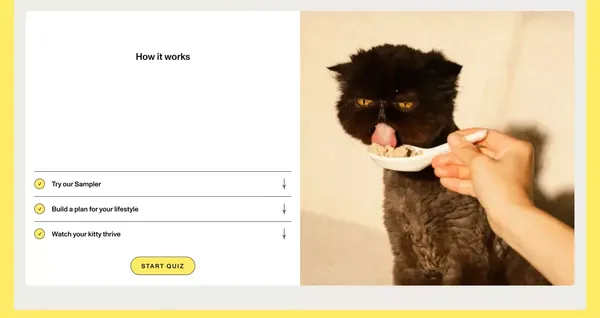 Fresh Human-Grade Cat Food Delivery | Smalls - Landing design inspiration
