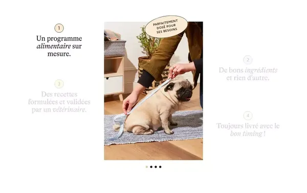 Pepette — Petfood Nouvelle Génération - Landing design inspiration