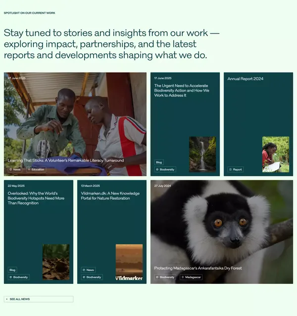 Hempel Foundation | Accelerating Change Together | Hempel Foundation - Landing design inspiration