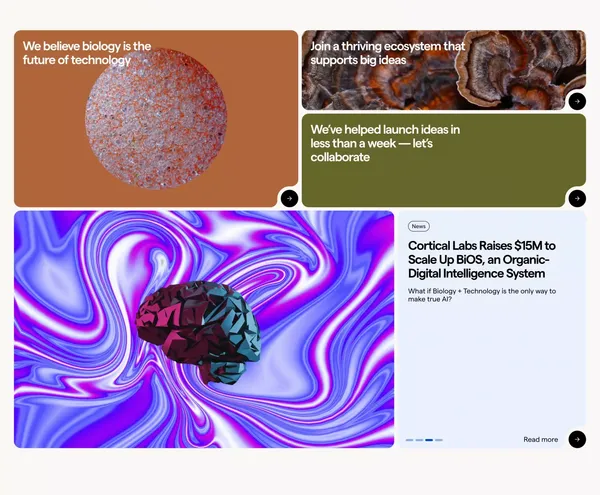 Colabs - Making space for transformative innovation. - Landing design inspiration
