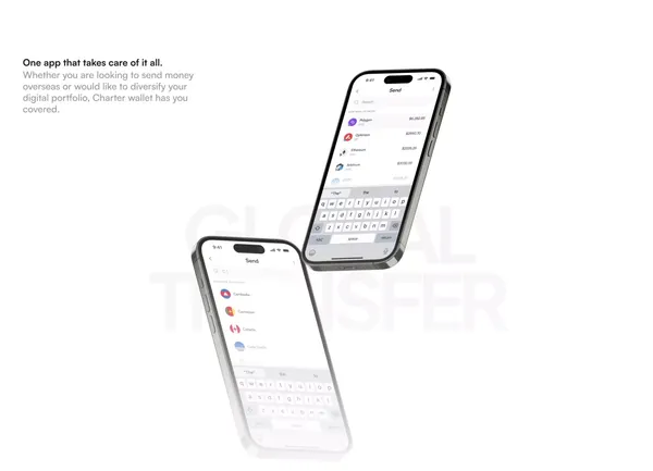 Charter — Instant & Affordable Global Payments - Landing design inspiration
