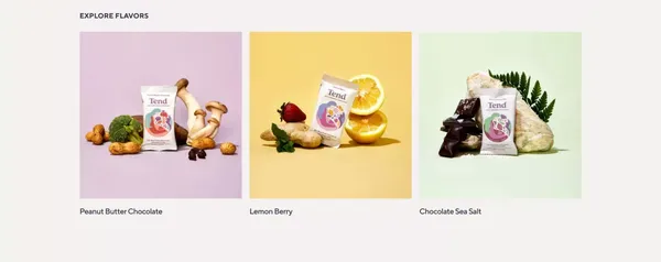 Tend Prenatal - Landing design inspiration