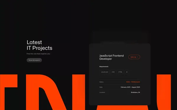 Top IT Freelancers for Businesses – Odinaut - Landing design inspiration