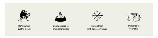 KatKin: Fresh Cat Food. Love Hard. Feed Fresh. - Landing design inspiration