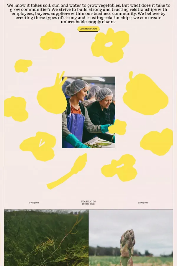 Sandy Shore Farms | Something bigger brings us together - Landing design inspiration