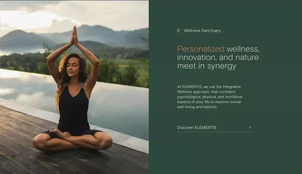 ELEMENTIS - Landing design inspiration