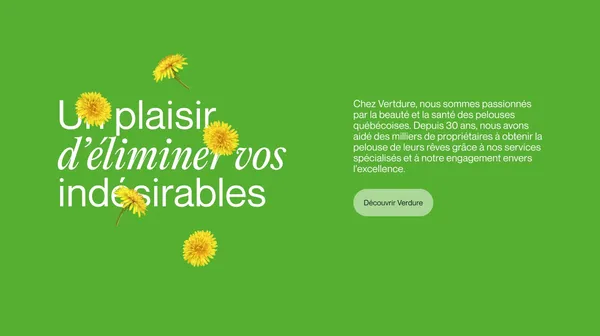 Vertdure, Quebec's #1 Lawn Care Company - Landing design inspiration