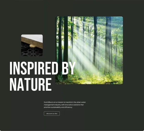 Innovative Water Management Solutions | Dutchblue - Landing design inspiration