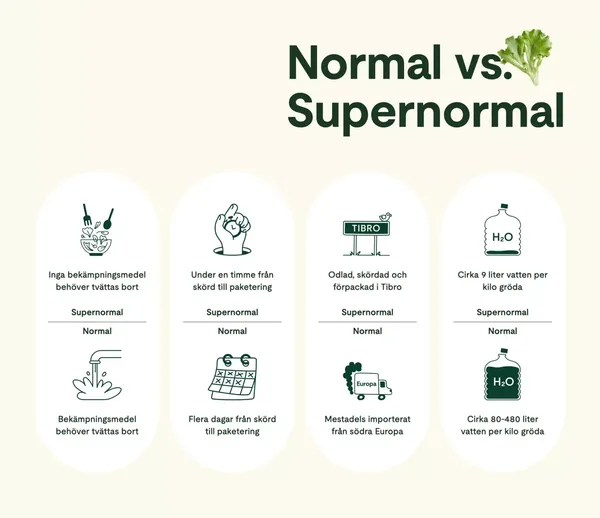 Supernormal Greens | Sallad med gott samvete från Ljusgårda - Landing design inspiration