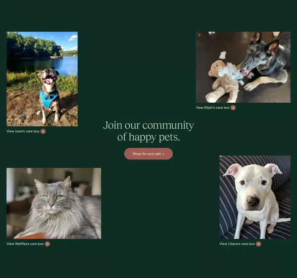 Koala Health - Landing design inspiration