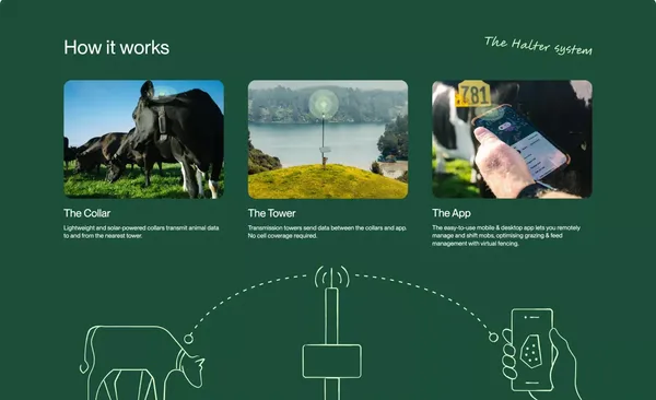 Halter® | Virtual Fencing and Pasture Management - Landing design inspiration