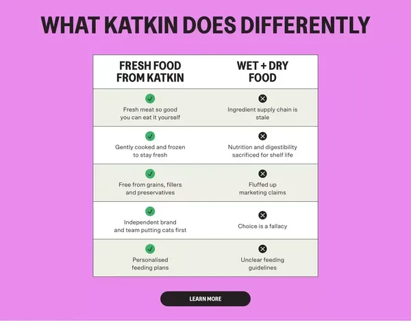 KatKin: Fresh Cat Food. Love Hard. Feed Fresh. - Landing design inspiration