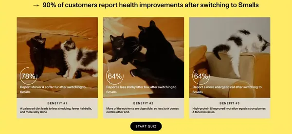 Fresh Human-Grade Cat Food Delivery | Smalls - Landing design inspiration