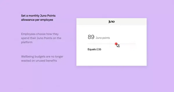Juno | Empowering teams with flexible benefits - Landing design inspiration