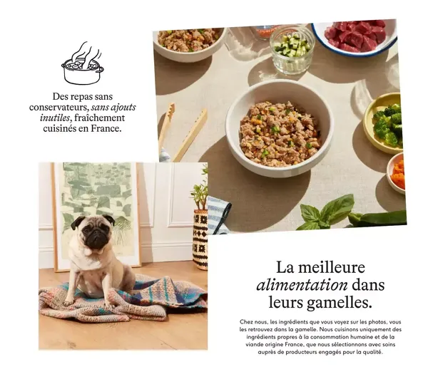 Pepette — Petfood Nouvelle Génération - Landing design inspiration