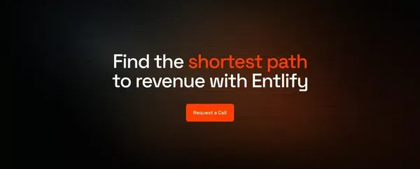 Entlify - Digital Marketing & Web Dev - Landing design inspiration