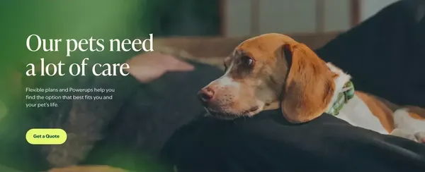 Rated Best Pet Insurance Plans | Figo Pet Insurance - Landing design inspiration