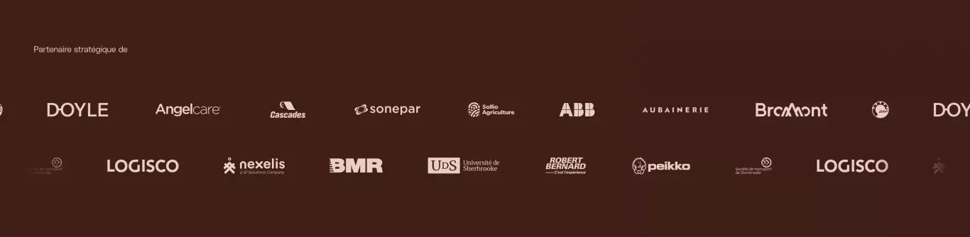 Brands