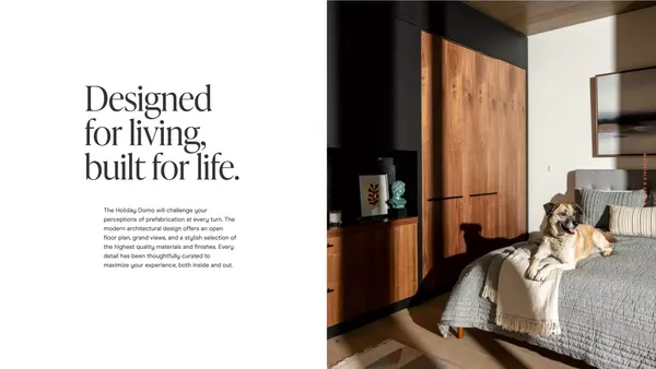 Stella Domo - Landing design inspiration