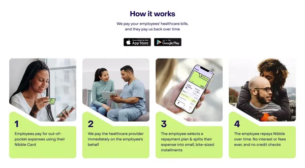Nibble Health | Your Employee Healthcare Safety Net - Landing design inspiration