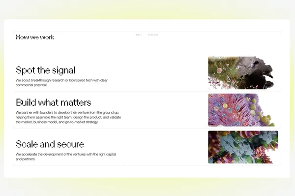 Anima - Growing nature-inspired ventures - Landing design inspiration