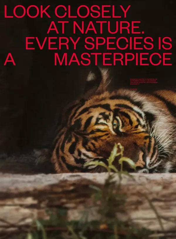 Critical Danger | Supporting Endangered Animals - Other design inspiration
