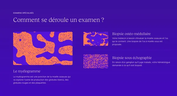 HAIMATOS - Centre d'hÃ©matologie Paris, MÃ©decins HÃ©matologues - Landing design inspiration