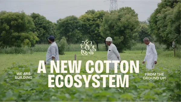 Materra 🌱 Future-Proof Cotton - Landing design inspiration
