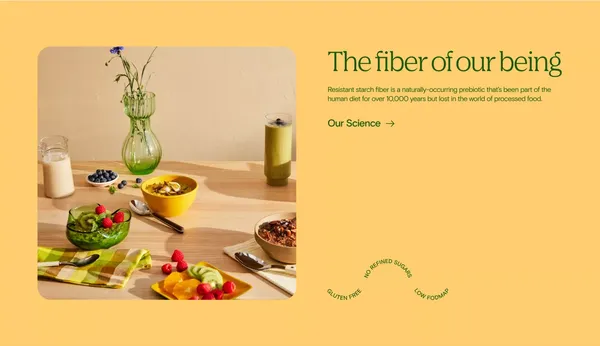 QUITE NICE | Gut-Friendliest Breakfast Oats with Gentle Fiber - Landing design inspiration