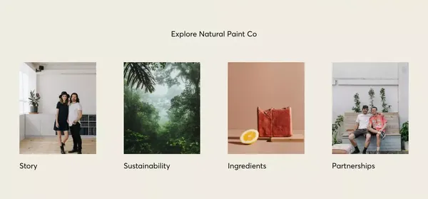 Natural Paint Co. | Plant-based paint and timber oils - Landing design inspiration