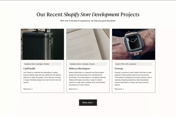 Shopify Plus Development  Agency - Custom Shopify Solutions - Landing design inspiration