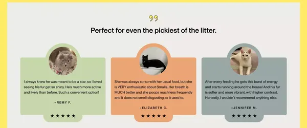 Fresh Human-Grade Cat Food Delivery | Smalls - Landing design inspiration