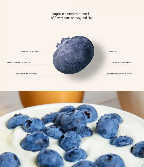 Agrovision - Landing design inspiration