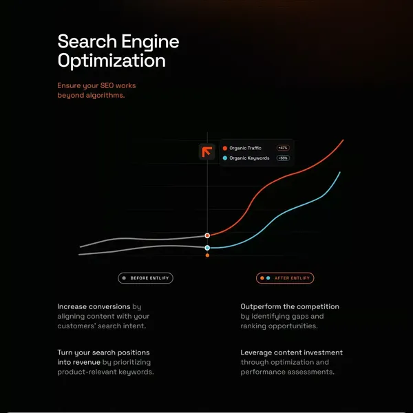 Entlify - Digital Marketing & Web Dev - Landing design inspiration