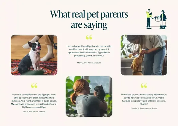 Rated Best Pet Insurance Plans | Figo Pet Insurance - Landing design inspiration