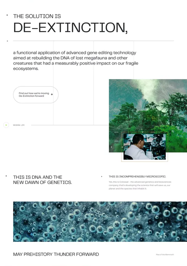 Solving the Colossal Problem of Extinction | Colossal - Landing design inspiration