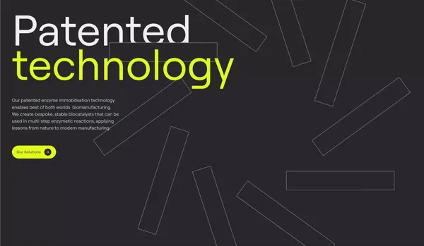 Enginzyme - Landing design inspiration