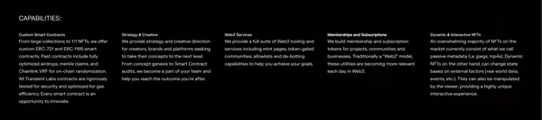 Transient Labs - Portfolio design inspiration