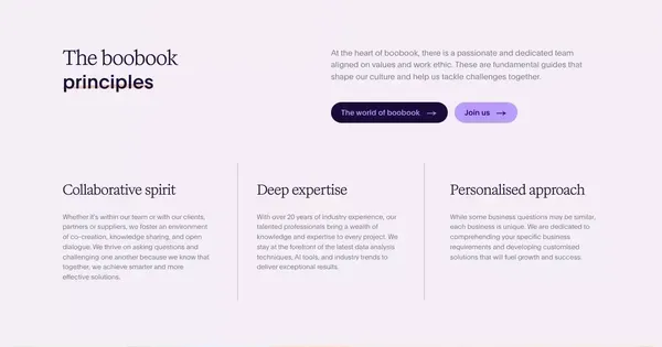 Empower Your Business | Boobook Data-Driven Insights - Landing design inspiration