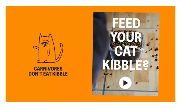 KatKin: Fresh Cat Food. Love Hard. Feed Fresh. - Landing design inspiration
