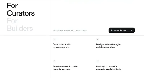 Loopscale - Landing design inspiration