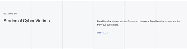 Dteckt | Your digital freedom secured - Landing design inspiration