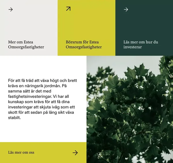 Estea - Landing design inspiration
